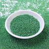 MIYUKI Round Rocailles Beads X-SEED-G007-RR0179L-2