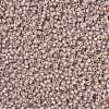 MIYUKI Round Rocailles Beads SEED-JP0009-RR0579-3