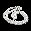 AB Color Plate Glass Beads Strands EGLA-P051-02A-A02-3