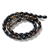 Natural Indian Agate Beads Strands G-I369-B09-01-3