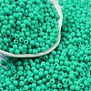 Opaque Acrylic Beads SACR-A007-01A-10-1
