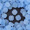 Frosted Transparent Acrylic Beads X1-OACR-P029-19B-01-1