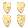 Ion Plating(IP) 304 Stainless Steel Pendants STAS-N098-187LG-2