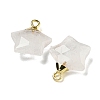 Natural Quartz Crystal Pendants G-P540-01G-02-2