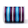 Segment Dyed Polyester Thread NWIR-I013-B-13-3