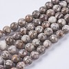Natural Maifanite/Maifan Stone Beads Strands G-I187-10mm-01-2