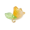 Glass Charms PALLOY-MZ00838-01-4