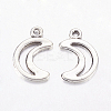 Tibetan Style Alloy Pendants LF10650Y-1