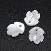 Leaf Natural White Shell Mother of Pearl Shell Charms SSHEL-E553-69-1