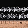 Baking Paint Transparent Glass Beads Strands DGLA-N017-03J-4