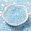 Glass Frosted Seed Beads SEED-K009-05B-09-2