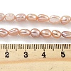 Natural Cultured Freshwater Pearl Beads Strands PEAR-P062-24C-X-5