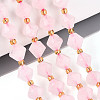 Natural Rose Quartz Beads Strands G-T144-23A-05-1
