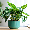 Iron Plant Trellis for Climbing Plants AJEW-DR0001-97-4