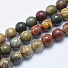 Natural Polychrome Jasper/Picasso Stone/Picasso Jasper Beads Strands G-E444-43-10mm-1