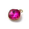 316 Stainless Steel Faceted Glass Pendants STAS-K258-47G-3