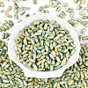 Baking Paint Glass Seed Beads SEED-N008-06H-2