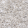 Glass Seed Beads SEED-S042-04B-06-3