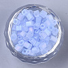 6/0 Transparent Glass Seed Beads SEED-S027-03B-10-2