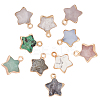 10Pcs 10 Colors Natural Green Aventurine & White Jade & Grey Agate & Labradorite & Strawberry Quartz & Howlite & Ruby in Zoisite & Quartz Crystal & Rose Quartz & Black Labradorite Gemstone Pendants G-SC0002-02-1