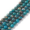 Dyed Natural Ocean Agate/Ocean Jasper Round Beads Strands G-E331-31-2