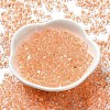 Glass Seed Beads SEED-K009-08A-02-2