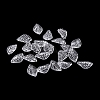 Transparent Acrylic Charms TACR-G050-02D-2