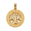 304 Stainless Steel Pendants STAS-C131-03G-10-1