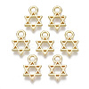 Alloy Charms X-PALLOY-S132-084-1