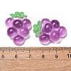 Fruit Theme Opaque Resin Imitation Food Cabochons RE-CBA49A8-03E-3