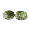 Spray Painted Natural Akoya Shell Charms SHEL-F007-15A-07-3