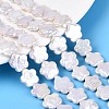 Natural Baroque Keshi Pearl Beads Strands PEAR-S020-A03-01A-1