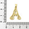 Brass Micro Pave Cubic Zirconia Pendants ZIRC-C012-01G-01-3