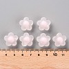 Transparent Acrylic Beads TACR-S152-09C-08-4