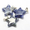 Star Natural Blue Spot Jasper Pendants G-Q367-17-2