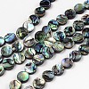 Natural Abalone Shell/Paua Shell Beads Strands X-SSHEL-G003-5-10x3mm-1