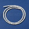 Natural Trochus Shell Rondelle Beads Strands SSHEL-H072-01B-3
