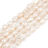Natural Cultured Freshwater Pearl Beads Strands PEAR-P064-20H-02C-2