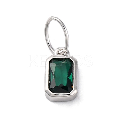 925 Sterling Silver Cubic Zirconia Charms STER-NH0014-01P-05-1