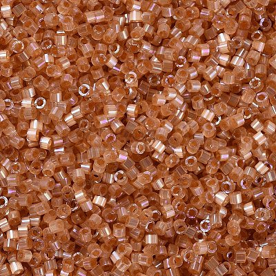 MIYUKI Delica Beads X-SEED-J020-DB1864-1