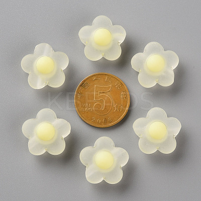 Transparent Acrylic Beads TACR-S152-09C-07-1