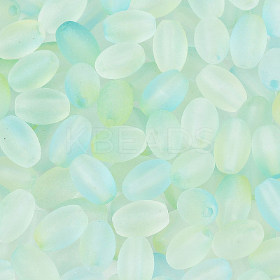 Frosted Glass Seed Beads SEED-N008-05F-1
