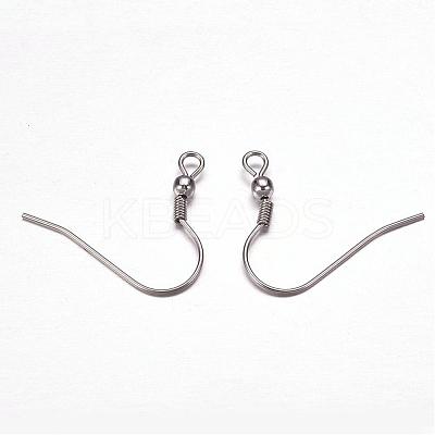 Tarnish Resistant 304 Stainless Steel Earring Hooks STAS-F117-23P-1