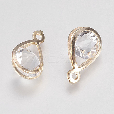Glass Rhinestone Pendants IFIN-F144-24G-1