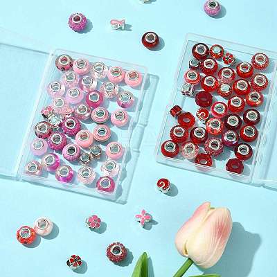 40Pcs 20 Styles Resin & Glass European Beads RPDL-FS0001-04-1
