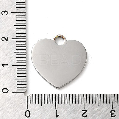 Non-Tarnish 304 Stainless Steel Pendants STAS-K270-27B-P-1