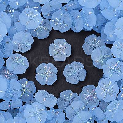 Frosted Transparent Acrylic Beads X1-OACR-P029-19B-01-1