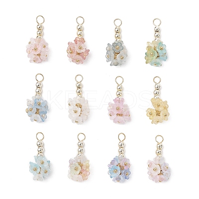 12Pcs Flower Transparent Acrylic Pendants PALLOY-JF03895-1