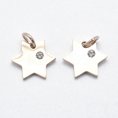 316L Surgical Stainless Steel Pendants STAS-J038-02RG-1