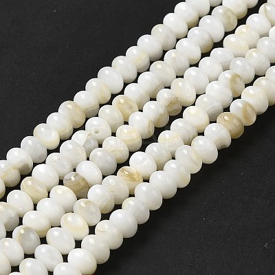 Natural Freshwater Shell Beads Strands BSHE-E026-15B-01-1